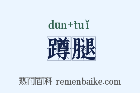 蹲腿是什么意思的图片